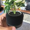 3D Printed Heavy Plant Pot with Textured Design - Image 4