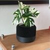 3D Printed Heavy Plant Pot with Textured Design - Image 2