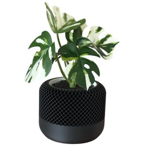 3D Printed Heavy Plant Pot with Textured Design