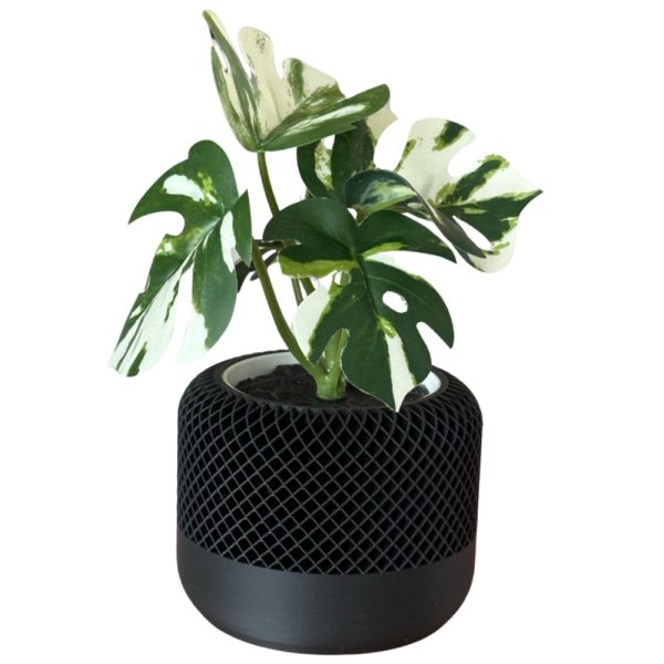 3D Printed Heavy Plant Pot with Textured Design